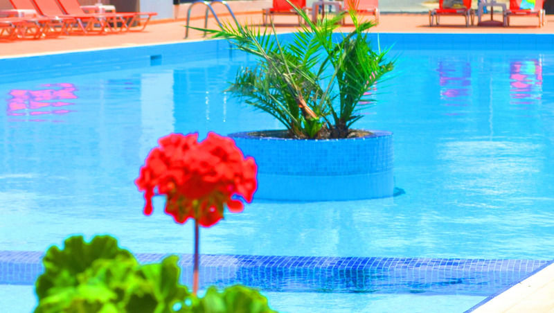 Hotel Amnissos Pigianos Kampos  Exteriér fotografie