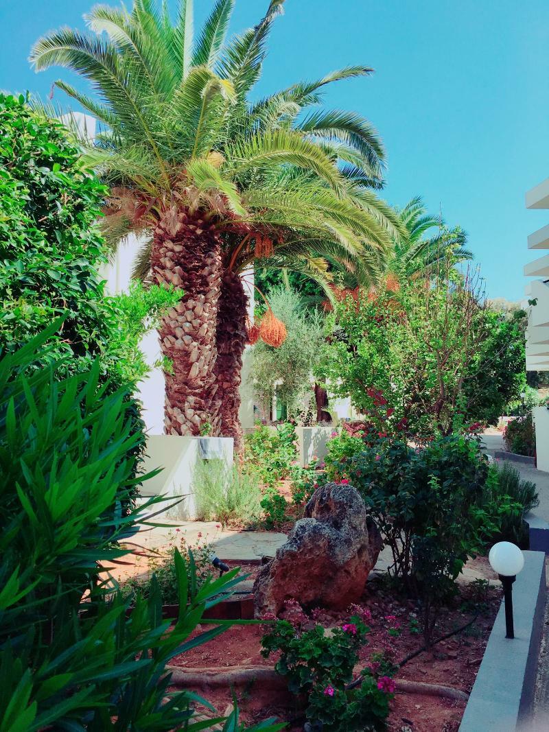 Hotel Amnissos Pigianos Kampos  Exteriér fotografie